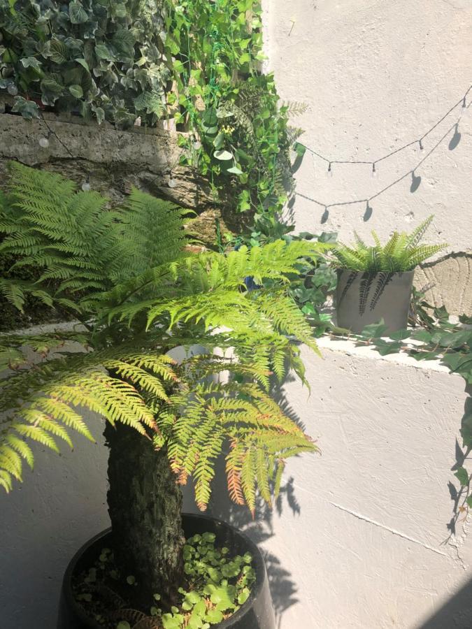 The Nest, Central Falmouth, 10 Mins To The Beaches And Off Street Parking 外观 照片